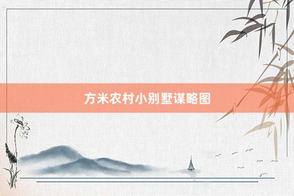 方米农村小别墅谋略图