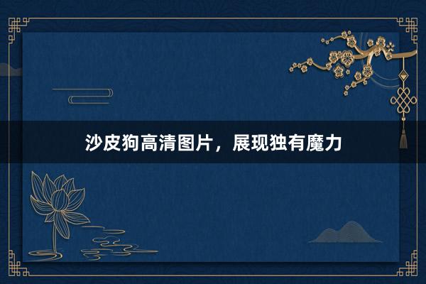 沙皮狗高清图片，展现独有魔力