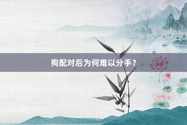 狗配对后为何难以分手？